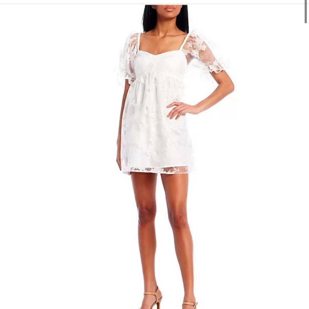 Floral Organza Short Sleeve Babydoll dress